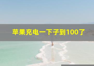 苹果充电一下子到100了