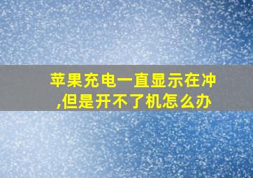 苹果充电一直显示在冲,但是开不了机怎么办