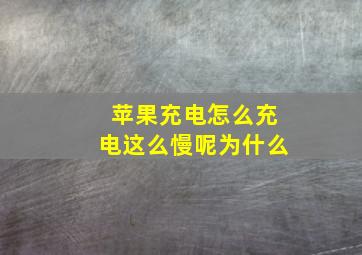 苹果充电怎么充电这么慢呢为什么