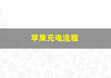 苹果充电流程