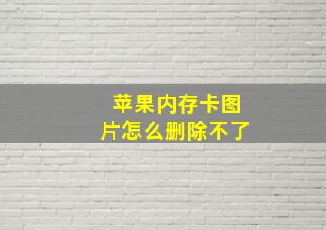 苹果内存卡图片怎么删除不了