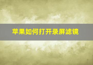 苹果如何打开录屏滤镜