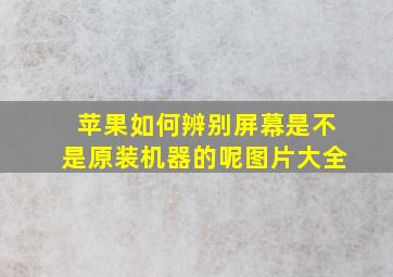 苹果如何辨别屏幕是不是原装机器的呢图片大全