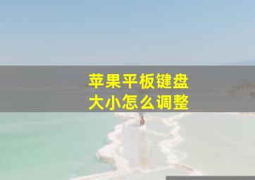 苹果平板键盘大小怎么调整