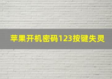 苹果开机密码123按键失灵