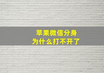 苹果微信分身为什么打不开了