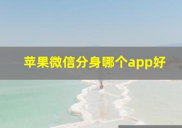 苹果微信分身哪个app好