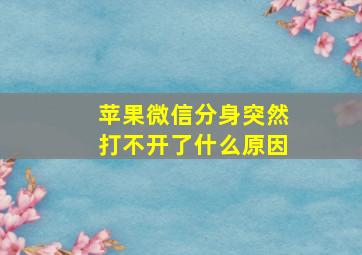 苹果微信分身突然打不开了什么原因