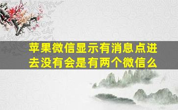 苹果微信显示有消息点进去没有会是有两个微信么