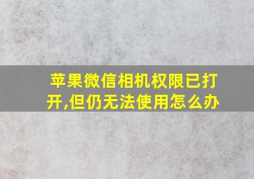 苹果微信相机权限已打开,但仍无法使用怎么办