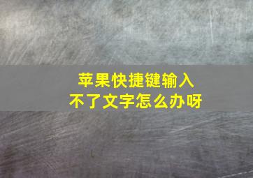 苹果快捷键输入不了文字怎么办呀