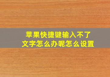 苹果快捷键输入不了文字怎么办呢怎么设置