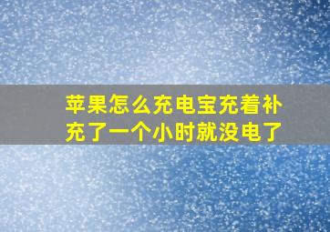 苹果怎么充电宝充着补充了一个小时就没电了