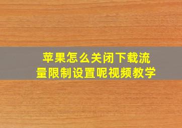 苹果怎么关闭下载流量限制设置呢视频教学