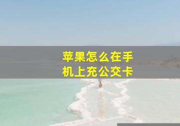 苹果怎么在手机上充公交卡