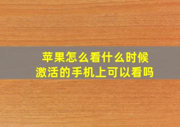 苹果怎么看什么时候激活的手机上可以看吗