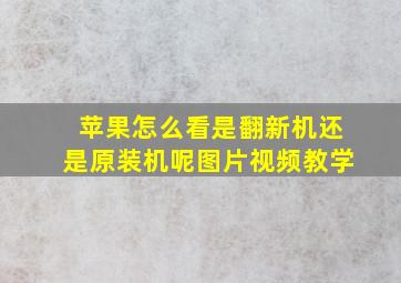 苹果怎么看是翻新机还是原装机呢图片视频教学