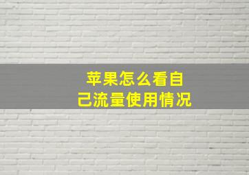 苹果怎么看自己流量使用情况