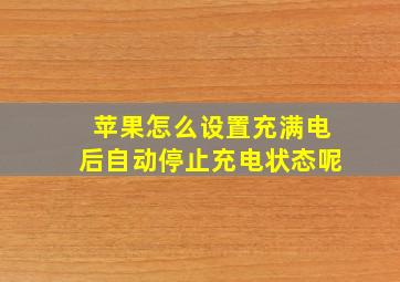 苹果怎么设置充满电后自动停止充电状态呢