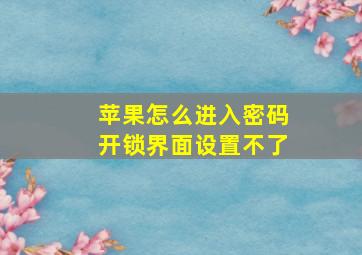 苹果怎么进入密码开锁界面设置不了