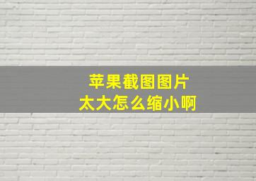 苹果截图图片太大怎么缩小啊