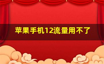 苹果手机12流量用不了