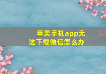 苹果手机app无法下载微信怎么办