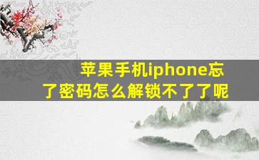 苹果手机iphone忘了密码怎么解锁不了了呢