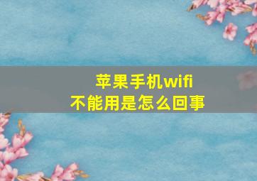 苹果手机wifi不能用是怎么回事