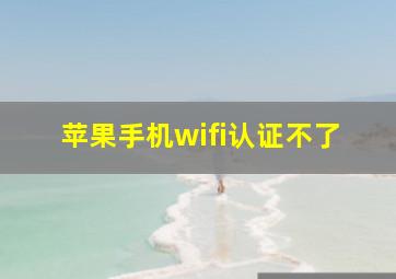 苹果手机wifi认证不了