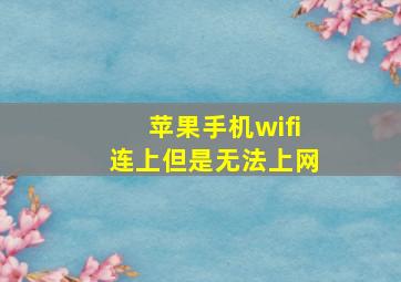 苹果手机wifi连上但是无法上网