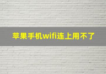 苹果手机wifi连上用不了