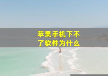 苹果手机下不了软件为什么