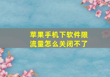 苹果手机下软件限流量怎么关闭不了