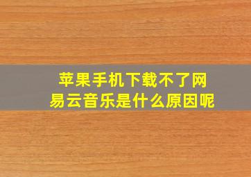 苹果手机下载不了网易云音乐是什么原因呢