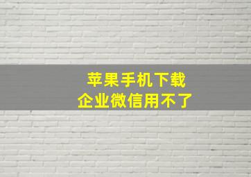 苹果手机下载企业微信用不了