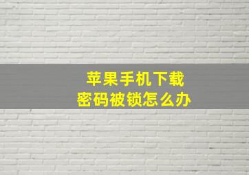 苹果手机下载密码被锁怎么办