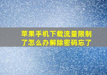 苹果手机下载流量限制了怎么办解除密码忘了