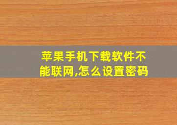 苹果手机下载软件不能联网,怎么设置密码