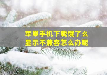 苹果手机下载饿了么显示不兼容怎么办呢