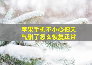 苹果手机不小心把天气删了怎么恢复正常