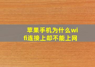 苹果手机为什么wifi连接上却不能上网