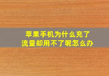 苹果手机为什么充了流量却用不了呢怎么办