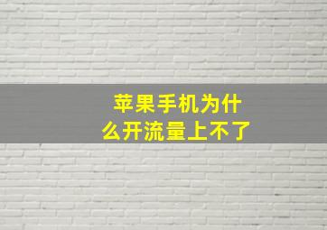 苹果手机为什么开流量上不了