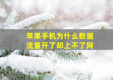 苹果手机为什么数据流量开了却上不了网