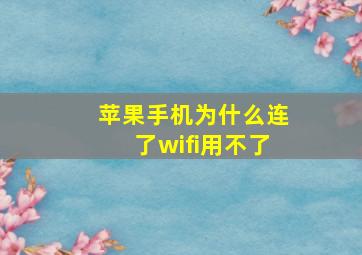 苹果手机为什么连了wifi用不了