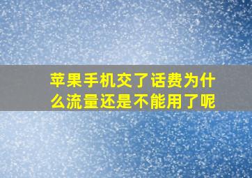 苹果手机交了话费为什么流量还是不能用了呢