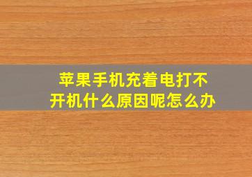 苹果手机充着电打不开机什么原因呢怎么办