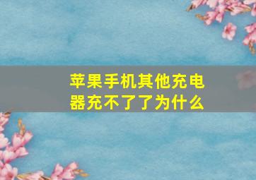 苹果手机其他充电器充不了了为什么