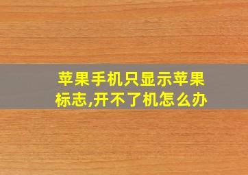 苹果手机只显示苹果标志,开不了机怎么办